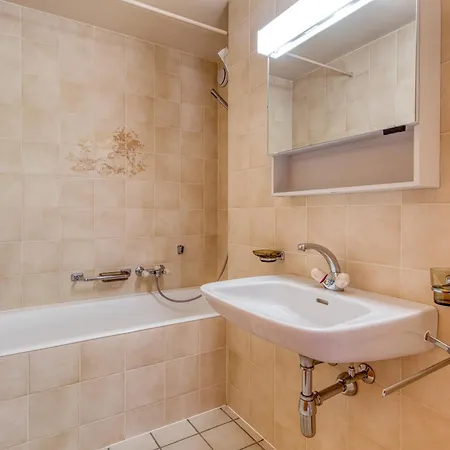 Moulins 8 Skylights And Chimney